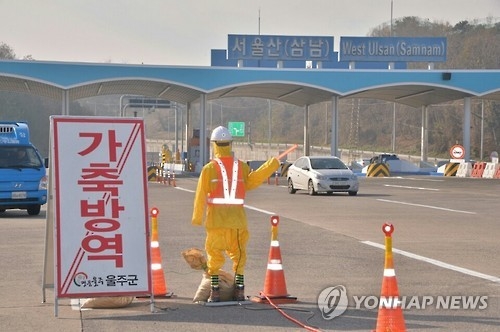 울산 AI 청정지역 사수 안간힘