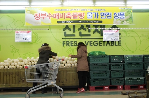 농협, 설 성수품 무·배추 40~50% 할인판매 - 1