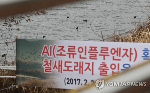 'AI 막아라' 철원군, 정월 대보름 행사 취소 - 1