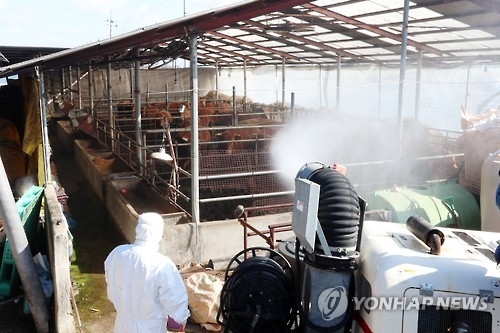 충북도 "항체 형성률 낮은 젖소 농가 더 있을 수도" - 1