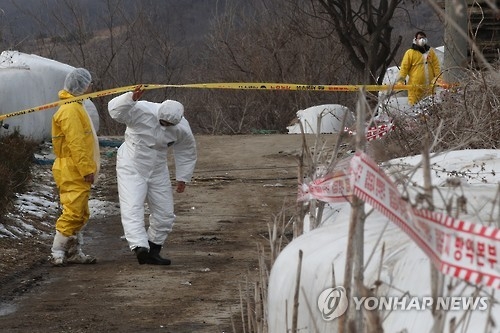 수도권 첫 구제역 신고