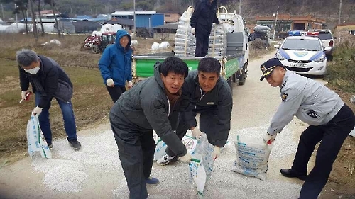 '정읍 구제역' 신속대응으로 확산 차단…"경계 더 강화" - 2