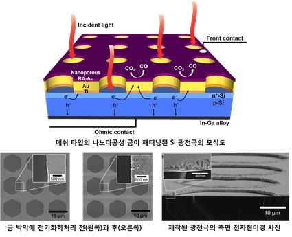나노다공성 금 박막과 실리콘 광전극