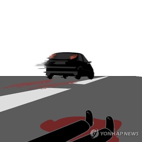 7시간만에 자수 뺑소니범 '음주수치'…"동물인줄 알았다"(종합) - 1