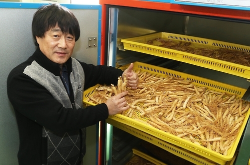 구운 인삼 중국 첫 수출