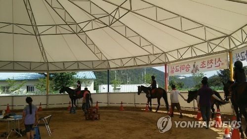 영월군 승마체험 지원사업, 일반인까지 확대 - 1