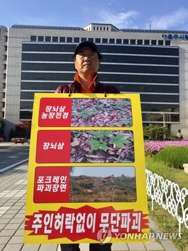 산양삼 보상 갈등 시위하는 안관준씨