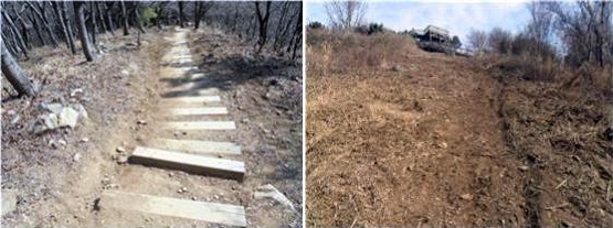 훼손된 부산 황령산 등산로