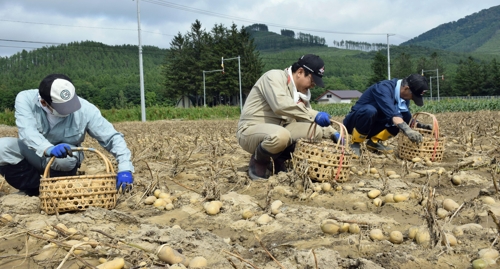 "감자 하나라도 더 챙깁시다"
