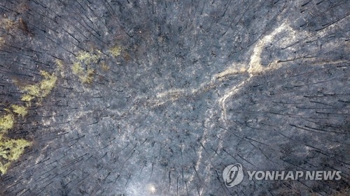 봄철 바짝 마른 산 '화약고'…불붙으면 순식간 '화르르' - 2