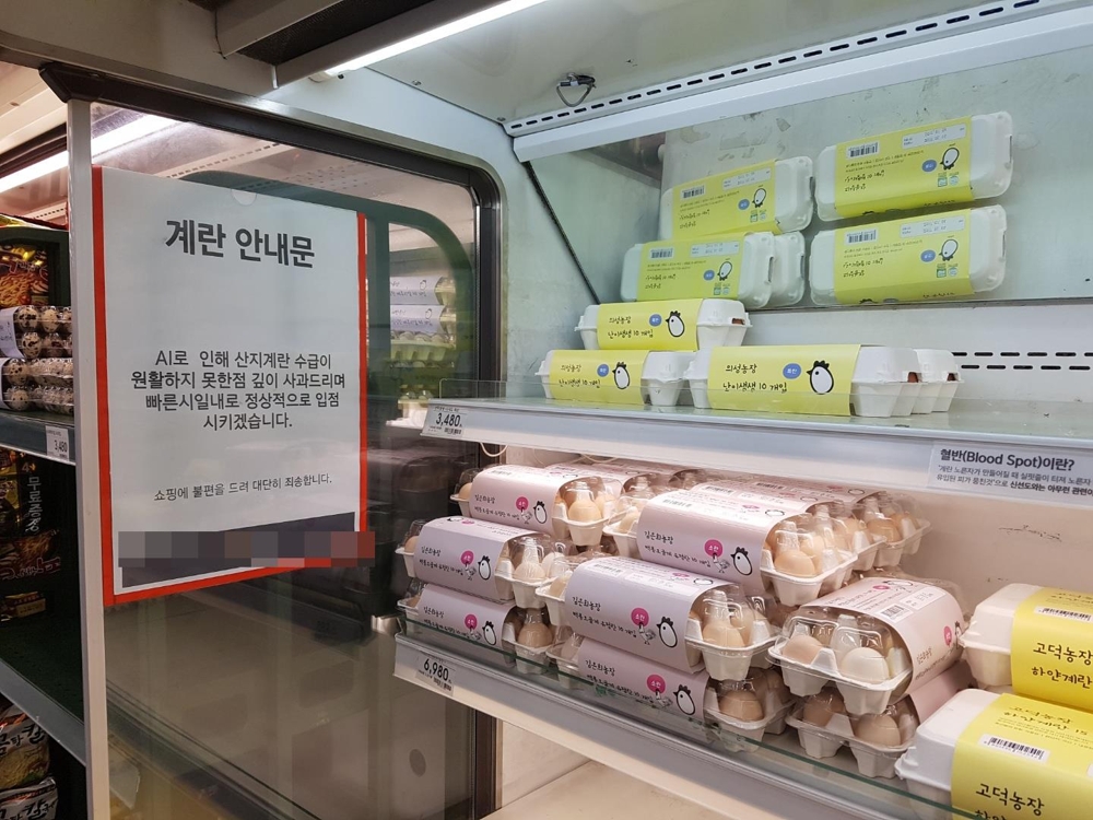 (서울=연합뉴스) 정빛나 기자 = 10일 서울 시내 한 대형마트 계란 판매 코너에 고병원성 조류인플루엔자(AI)로 계란 수급이 원활하지 못하다는 안내문이 붙어 있다. 2017.6.11 shine@yna.co.kr