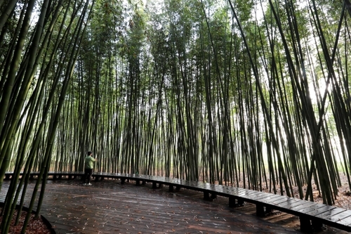 울산 태화강 공원