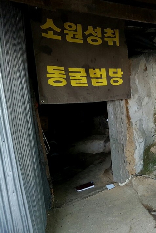 완주 대둔산 암자 동굴에 핀 꽃…'우담바라' 의견 분분 - 1