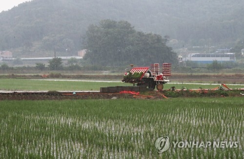 반가운 단비