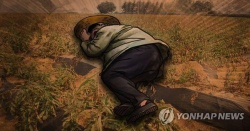 전남서 집 나선 노인 2명 잇단 실종…1명은 숨져 - 1