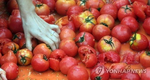 2017 화천토마토축제