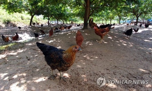 '이 농장에서 살충제가 검출됐다니'