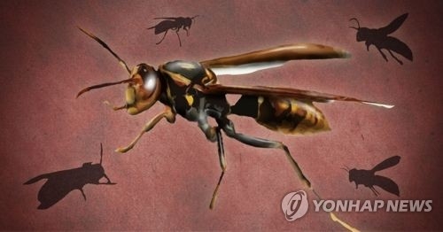 말벌 사고