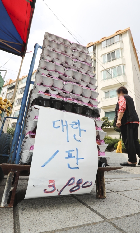 곤두박질치는 계란값…30개 한판에 3천원대 등장 - 2