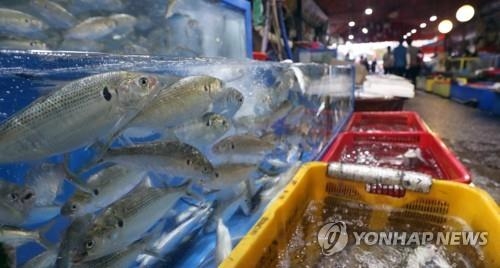 '먹고 보고 즐기고'…경남 곳곳 가을축제로 떠들썩 - 1