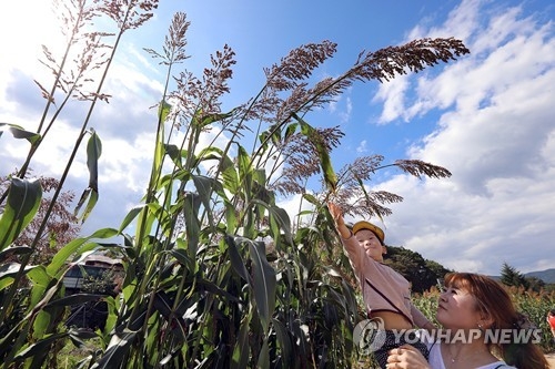 충북 유원지 행락객 '발길'…벌초 인파까지 도로 정체 - 1