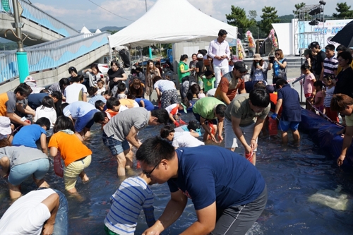 무창포 전어·대하축제 맨손 고기잡기 체험