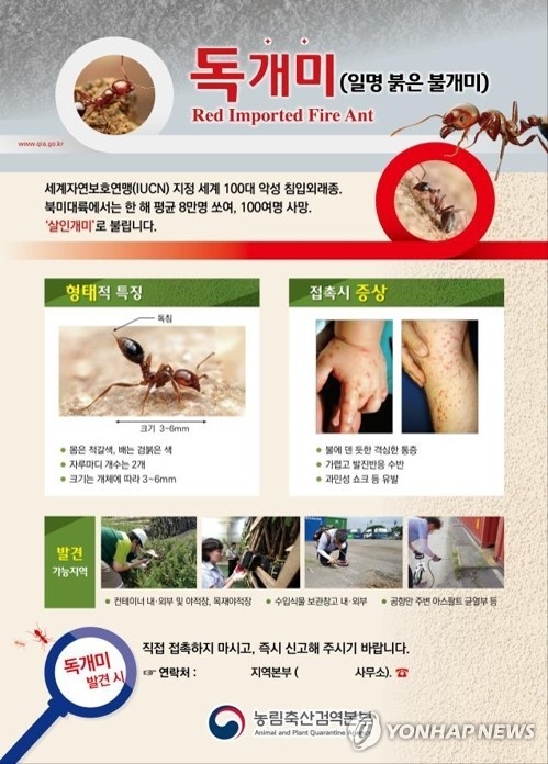'독개미' 발견하면 접촉말고 즉시 신고