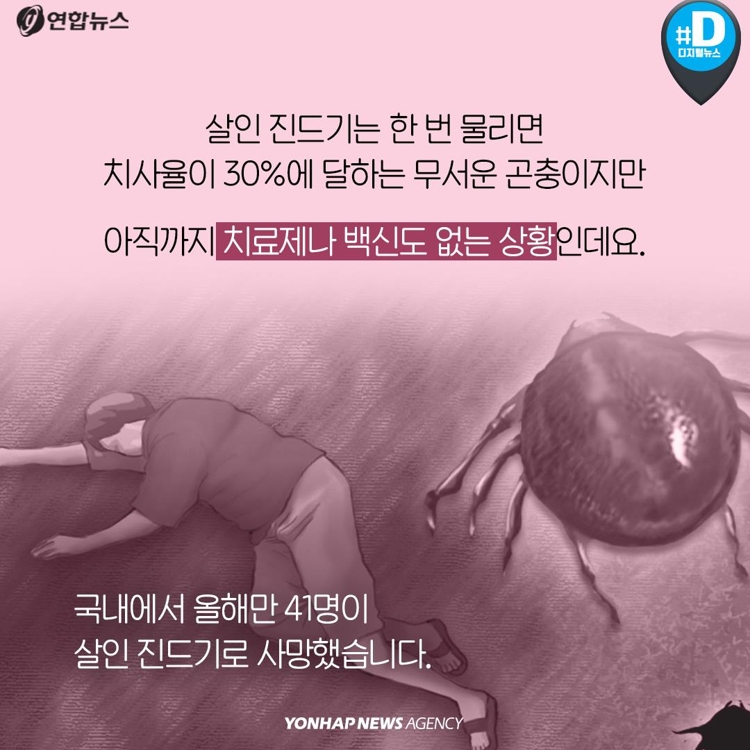 [카드뉴스] "반려견과 뽀뽀한 남성, 살인진드기병에 걸렸다" - 6