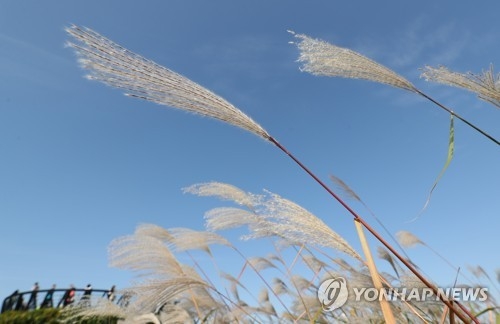 높아가는 가을하늘