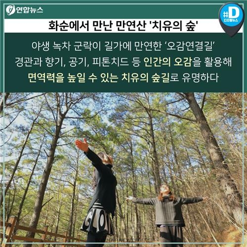 [카드뉴스] 새해맞이 나들이 '숲속의 전남' 어떨까요? - 7