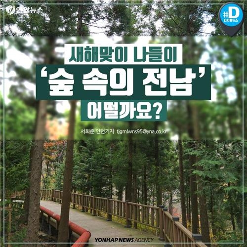[카드뉴스] 새해맞이 나들이 '숲속의 전남' 어떨까요? - 11