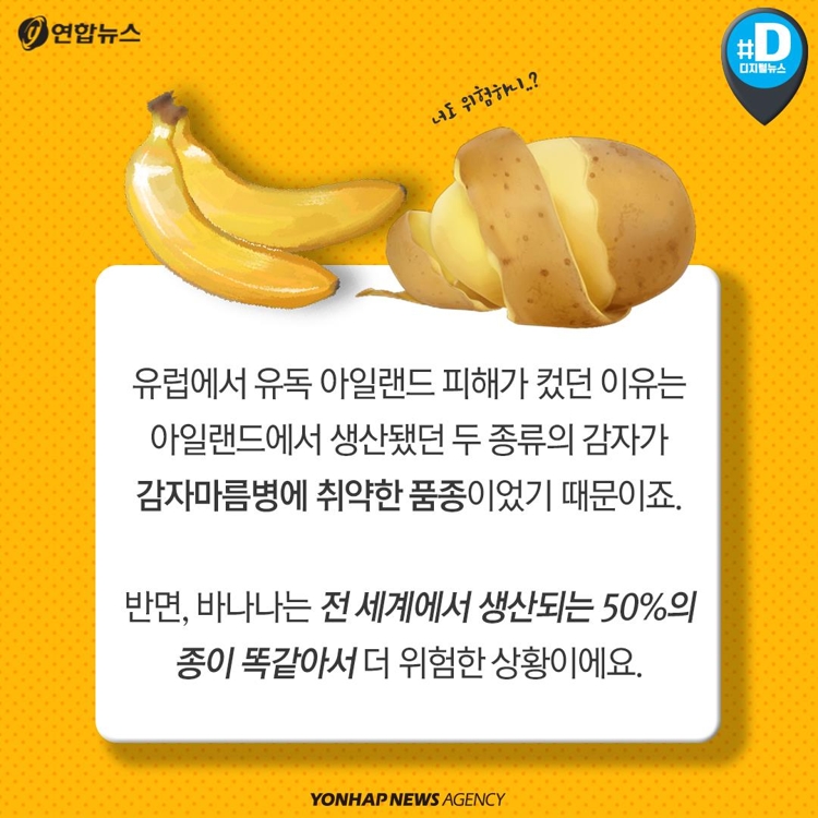 [카드뉴스] "바나나가 지구에서 사라진대요" - 9
