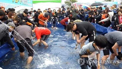맨손으로 주꾸미, 도다리 잡기