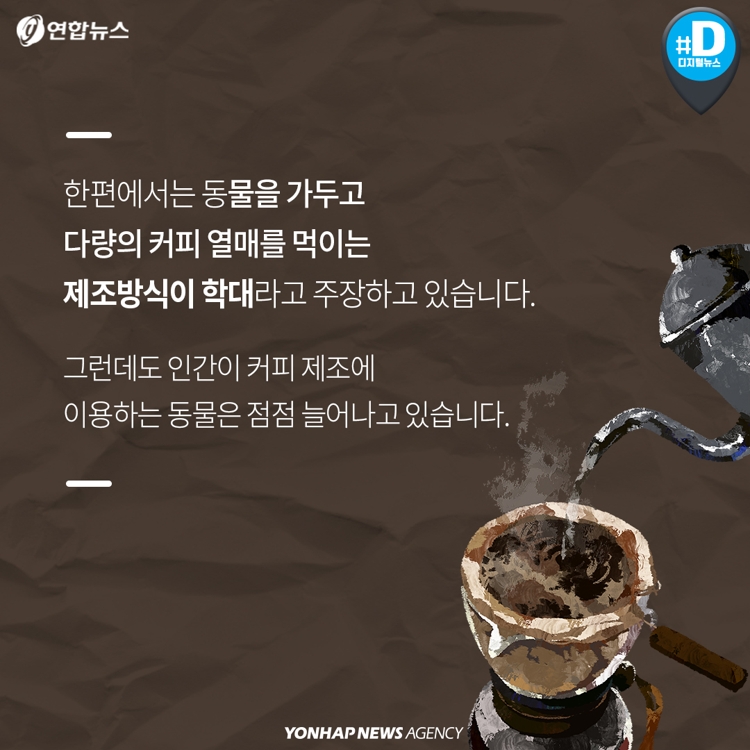 [카드뉴스] 최고의 커피?…'동물 똥 커피'의 빛과 그림자 - 3