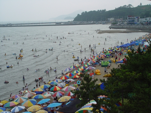 보성 율포솔밭해수욕장