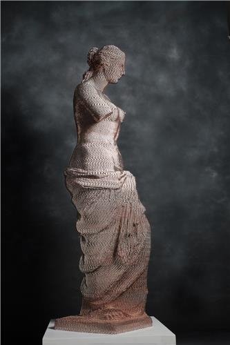 김승우, 밀로의비너스, 동전, 60X55X202cm, 2018