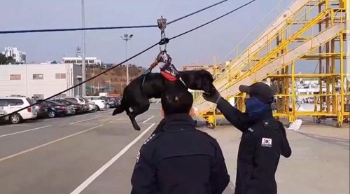 등·하강 훈련 중인 투투