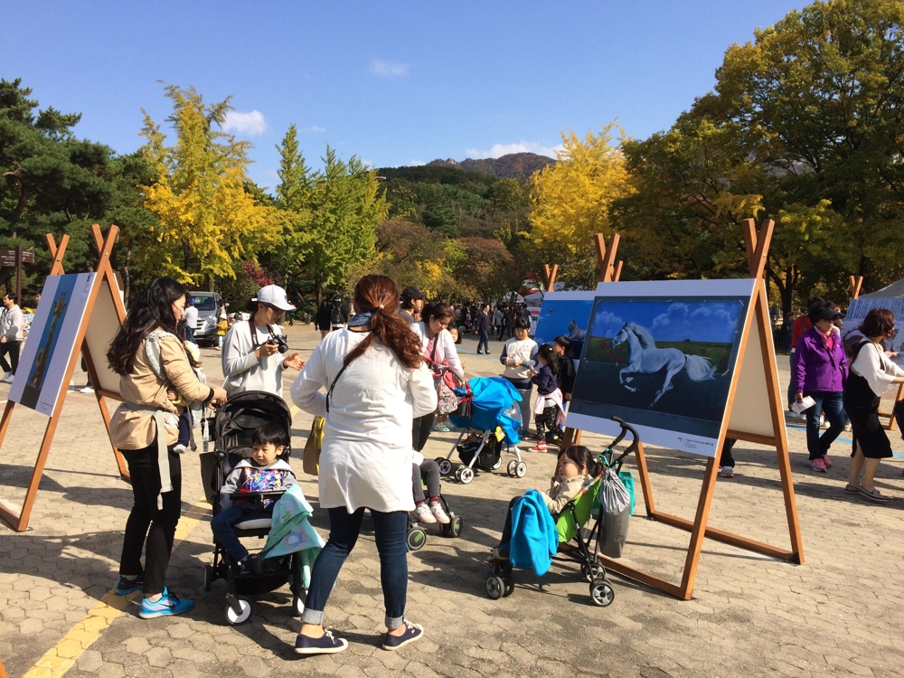 서울대공원 가을축제 '동물원 속 미술관' 9~21일 열려 - 1