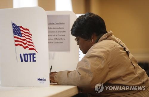 미국 중간선거 투표
