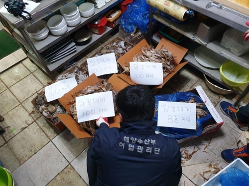 음식점에서 몰래 숨겼다가 발각된 암컷 대게들