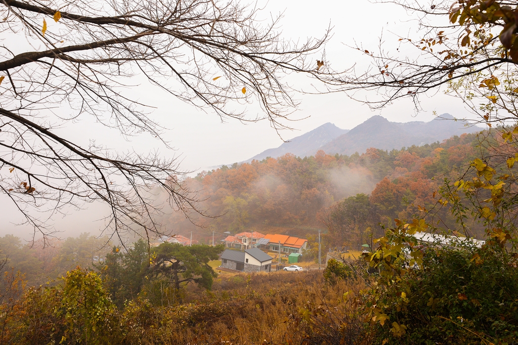 쉬자파크 입구에서 바라본 백운봉(940m)(성연재)