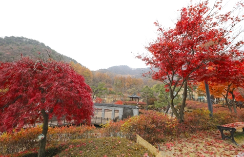 조용히 쉬며 치유하기 좋은 양평 쉬자파크.(성연재)