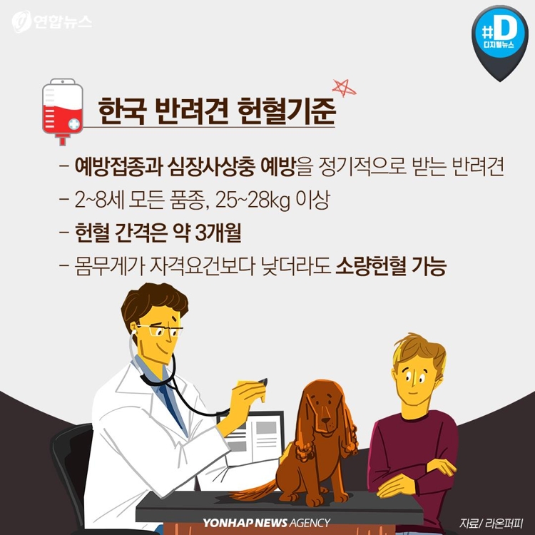 [카드뉴스] 우리 개와 고양이도 헌혈해보면 어떨까요? - 10