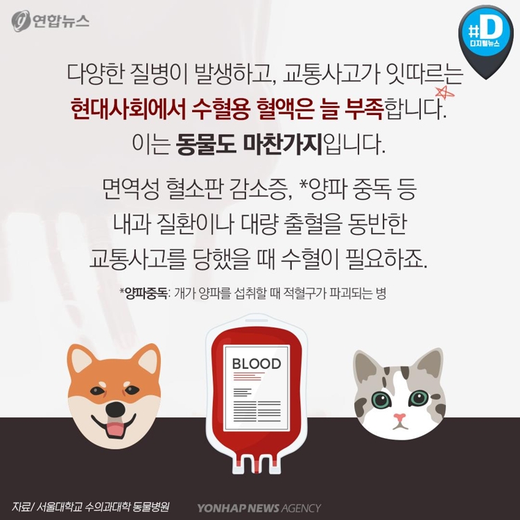 [카드뉴스] 우리 개와 고양이도 헌혈해보면 어떨까요? - 3