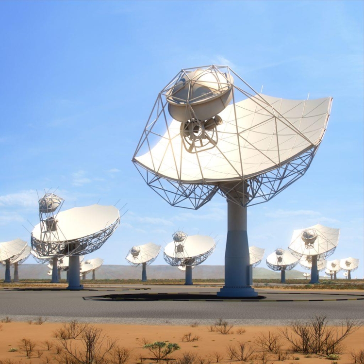 세계 최대의 전파망원경으로 추진되는 SKA 상상도 