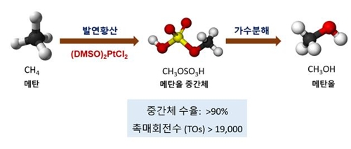 백금계 유기금속 촉매를 이용한 메탄 산화 반응