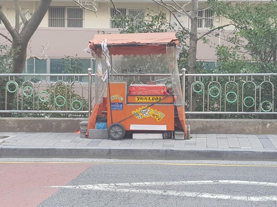 교통약자 보행 방해하는 불법 시설물