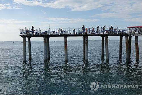 충남 서천군 홍원항 주꾸미 낚시 명소