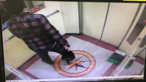 남편 귀가 모습
