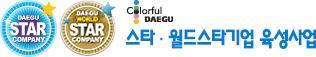 대구 스타기업 육성사업